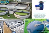 ECO-C257 là chất khử bọt silicone cao cấp dành cho hệ thống xử lý nước thải AAO. Phá bọt nhanh, ngăn tái tạo bọt, an toàn cho vi sinh và tối ưu chi ph